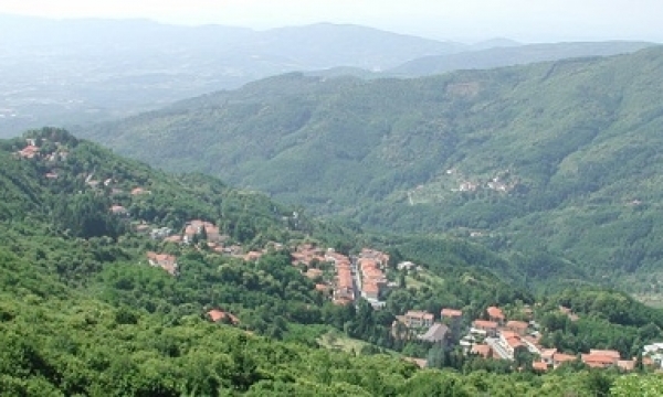 Cireglio