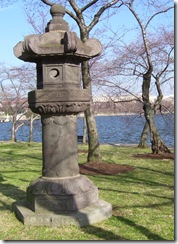 lantern1